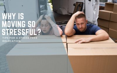Why is Moving So Stressful?