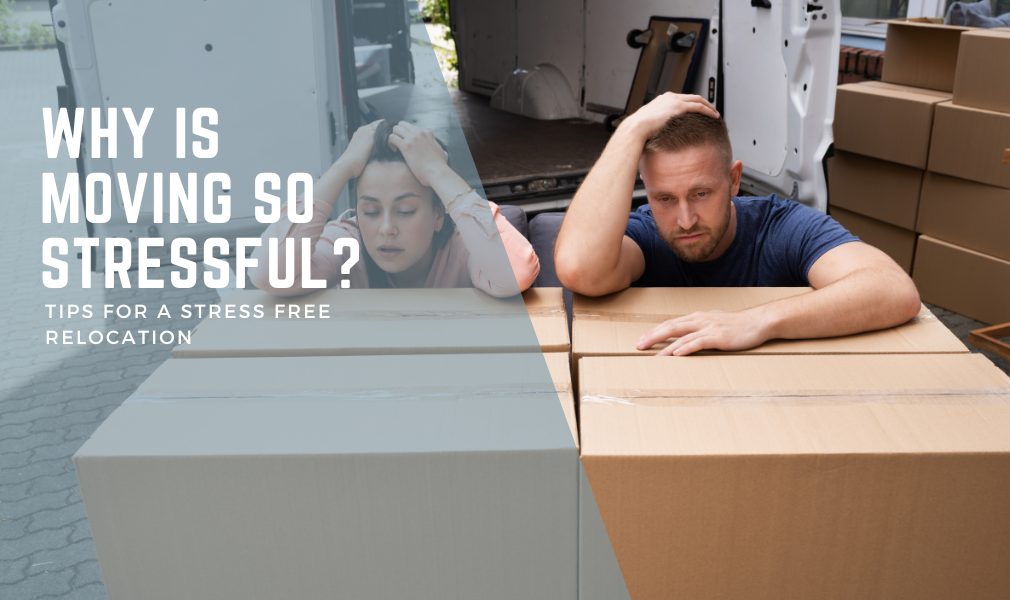 Why Is Moving So Stressful?