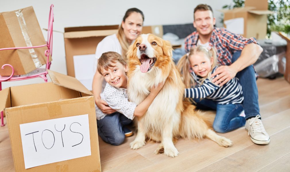Moving With Different Types of Pets Moving With Different Types of Pets