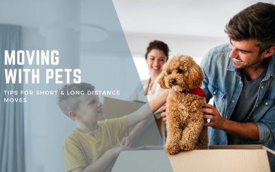Moving With Pets