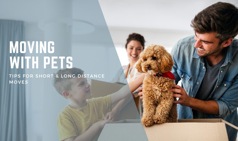 Moving With Pets